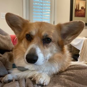 Meet your Posher, Sharon